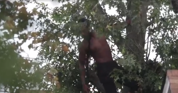 美国男子为躲警察树上待48小时 称曾在监狱遭到虐待