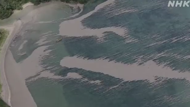 冲绳海域内漂浮着大面积浮石（视频截图）