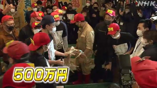 日本一只松叶蟹拍出500万日元高价