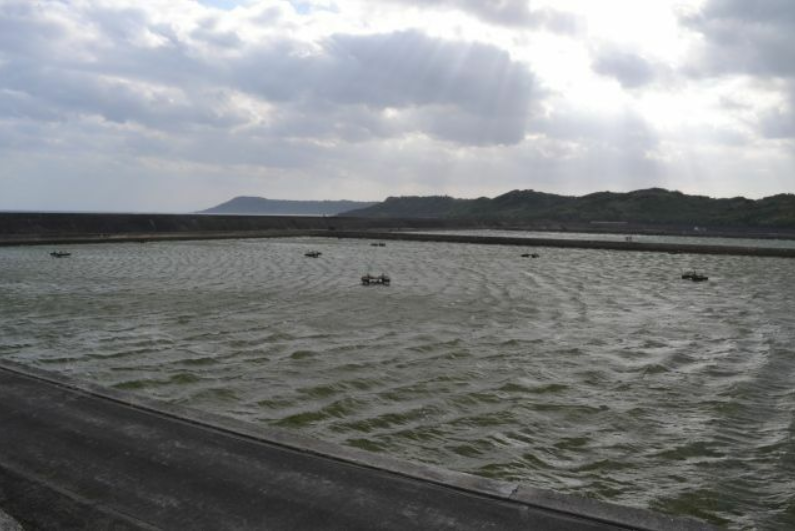 冲绳渔港养殖池（日媒报道截图）