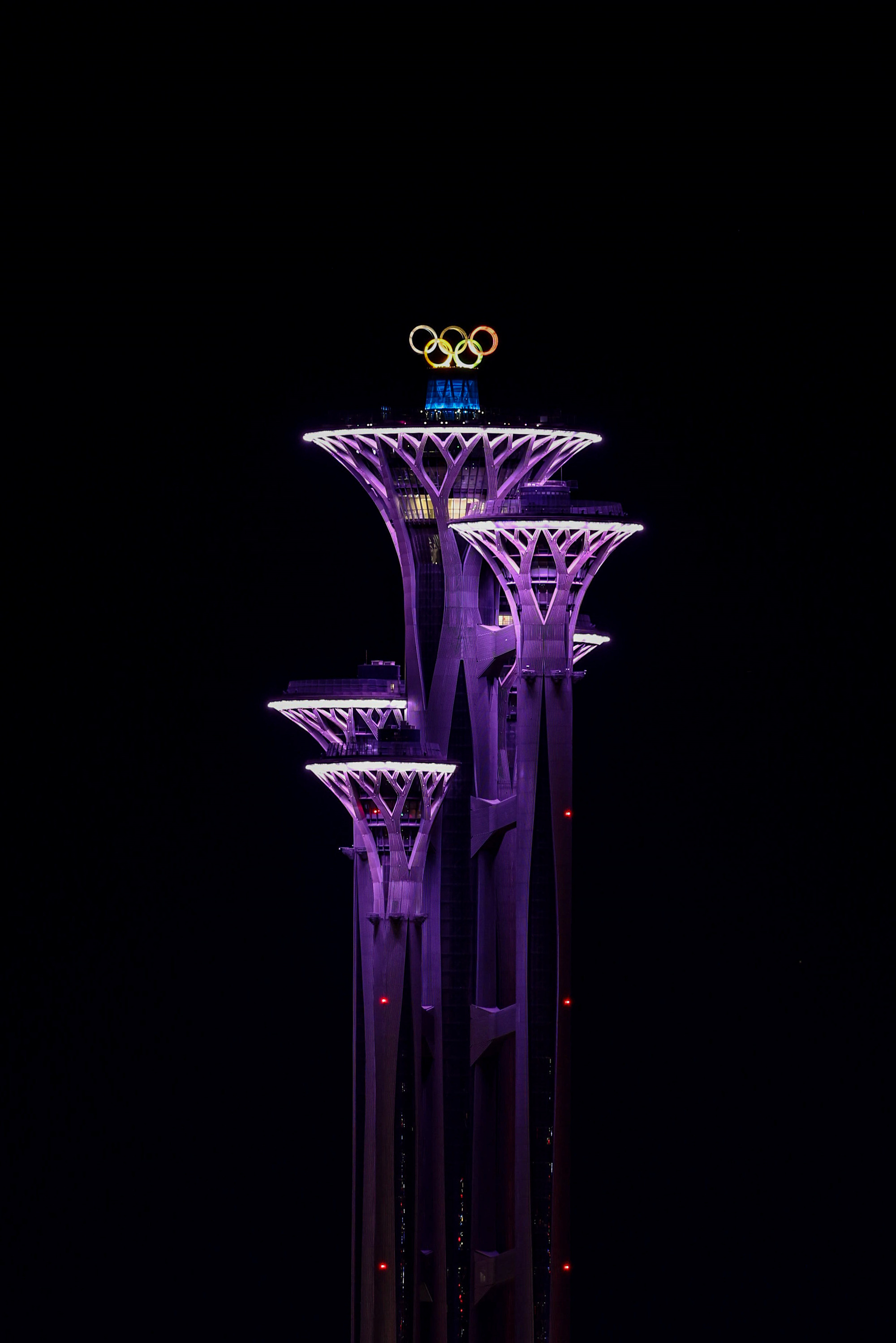 2022年冬奥会鸟巢图片图片