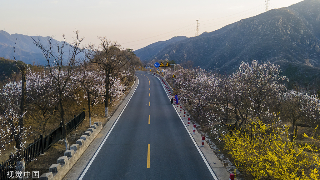 北京 京郊最美公路昌赤路繁花似锦 车辆如在花海中行驶