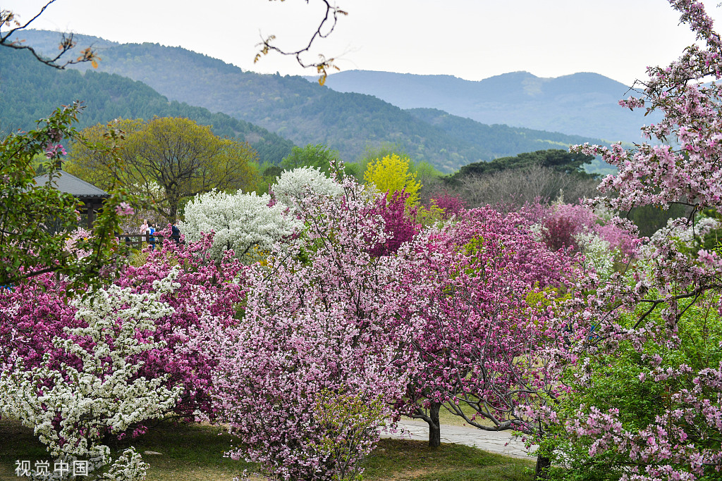 北京植物园全景图图片