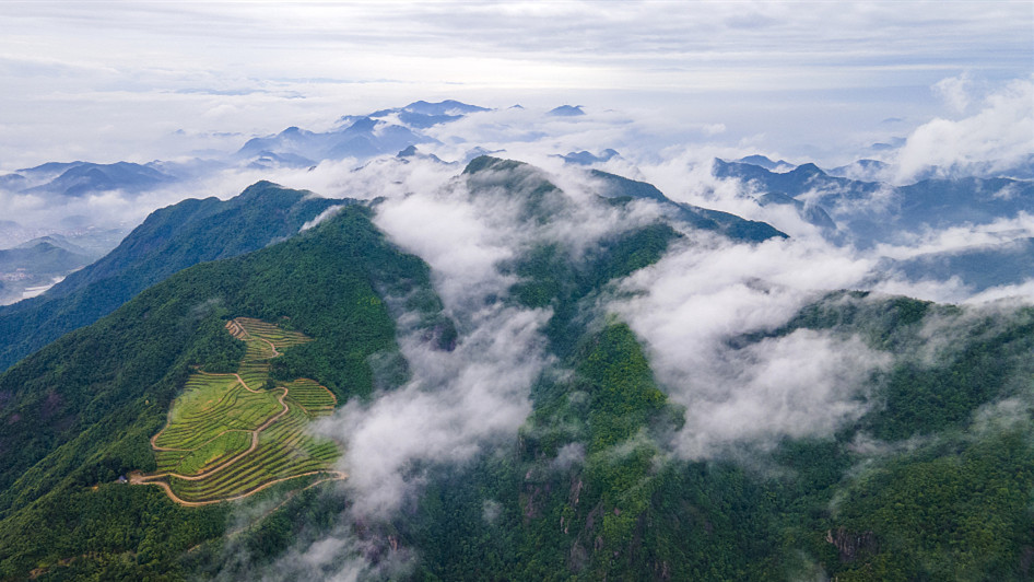 浙江永康:大寒山脈雲遮霧繞 群山青翠