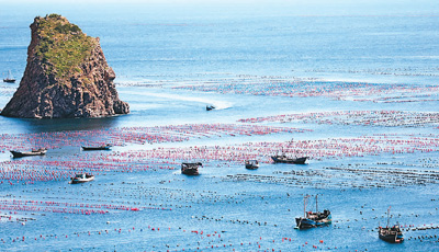 辽宁省长海县獐子岛镇 20220607062333906.jpg