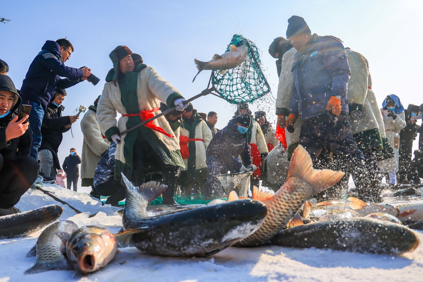 鱼跃在冬季 news.haiwainet.cn