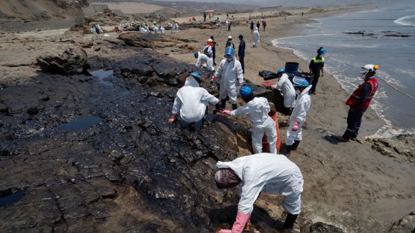 汤加火山喷发后秘鲁宣布环境紧急状态:21处海滩污染 现大量死鸟
