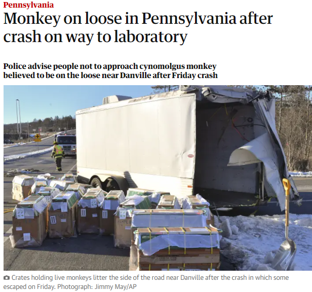美国实验室猴子运输途中逃跑 警方发通知：危险，别靠近