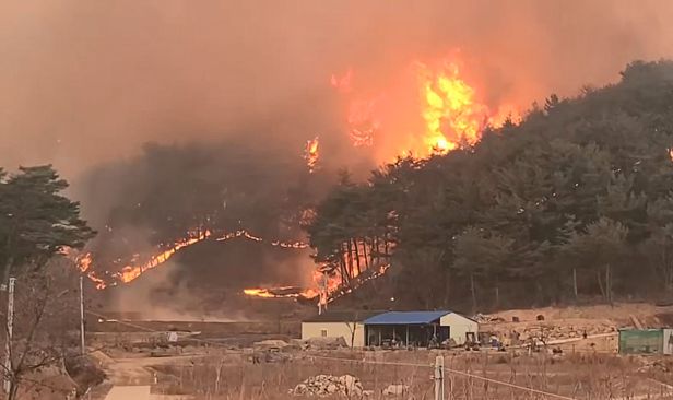 韩国蔚珍郡燃起山火