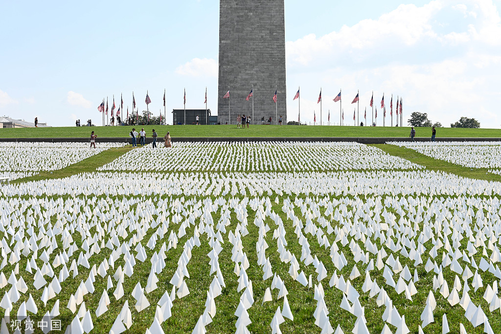 华盛顿国家广场上插着白色旗帜，悼念新冠逝者。（资料图）