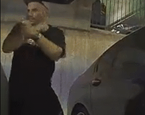 一名男子砸碎了李仁永汽车的车窗并偷走了他的包。（视频画面截图）