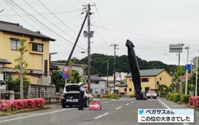 黑色飘浮物落下后展开，比两层楼还高(日本富士电视台)