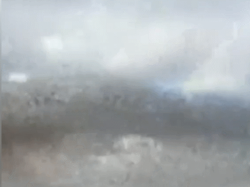 俄罗斯南部边疆区出现蝗灾（视频截图）