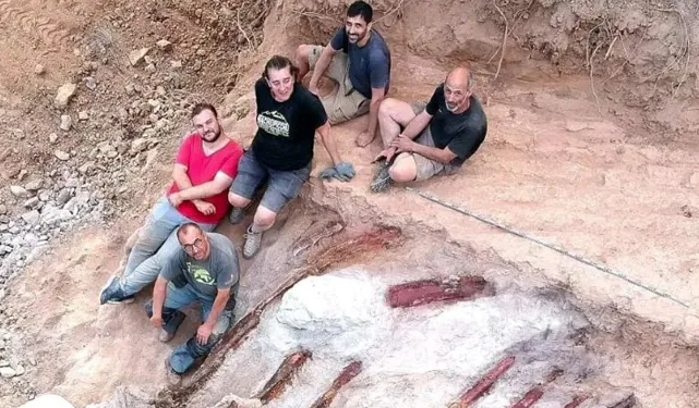 葡萄牙男子在自家后院发现恐龙骨骼，可能是欧洲最大的恐龙。（社交媒体截图）