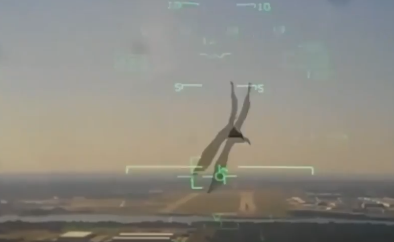 美国海军一架军用飞机在空中与鸟相撞。（福克斯新闻视频截图）