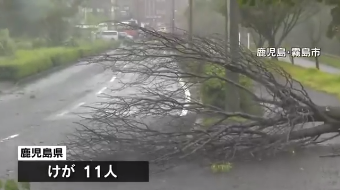 日本多地道路边的街树折断（日本TBS电视台）