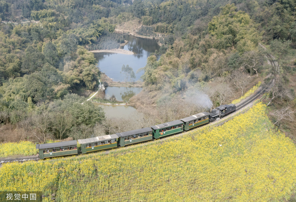 成都油菜花景点小火车图片