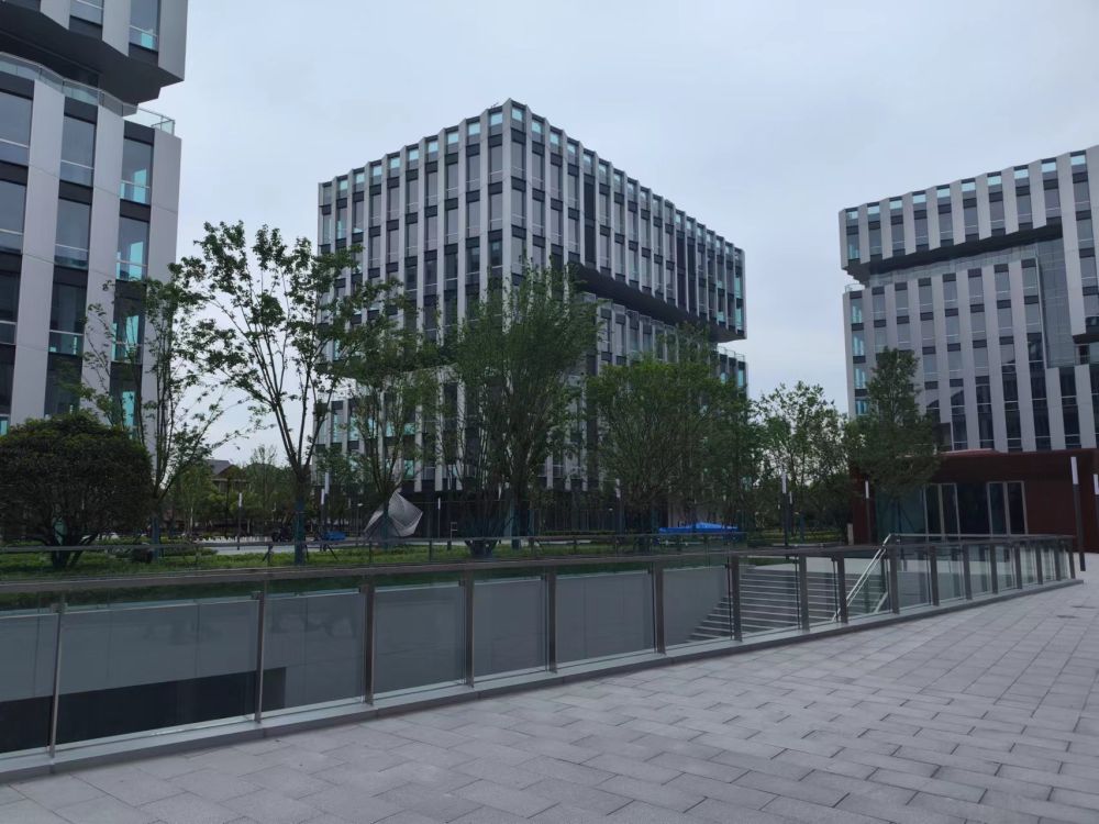 高质量发展调研行 | 上海张江全链条发力营造更优企业创新发展环境