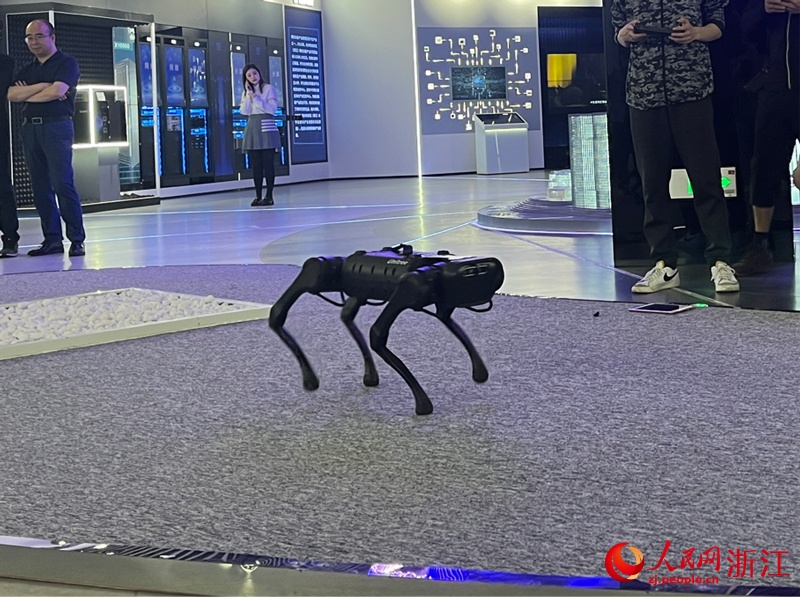 创新提质 浙江数字经济“加速跑”｜高质量发展调研行·浙江站