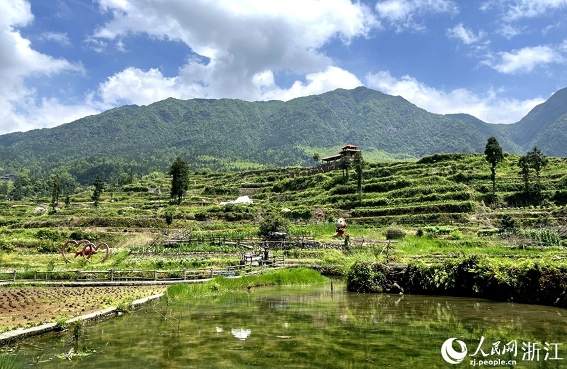浙江青田：千年农韵谱出共富新曲丨高质量发展调研行·浙江站