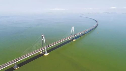 “一站式”通关，让珠海活鱼“1小时”送到香港 | 高质量发展调研行・广东站