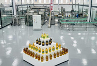 高质量发展新画卷｜“一个字，快！两个字，真快！” 