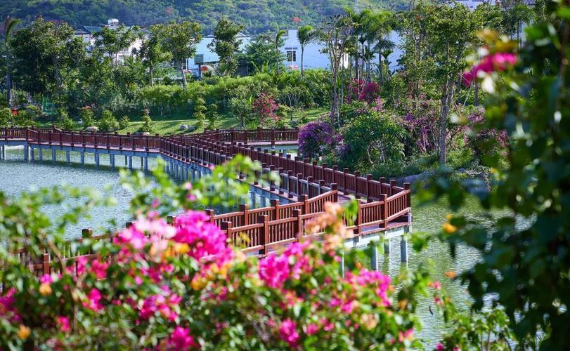 “有空来坐坐”，三亚这个民宿村“有颜有料有内涵”| 高质量发展调研行·海南站