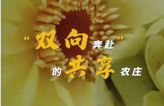 高质量发展调研行丨海南儋州：“双向奔赴”的共享农庄