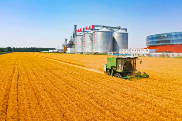 高质量发展调研行|德州农业：既向太空要可能，也向大地要潜能