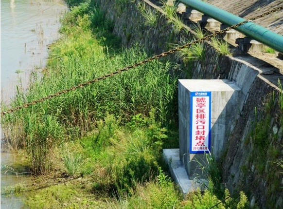 湖北：用环境“含绿量”提升发展“含金量” | 高质量发展调研行·湖北站