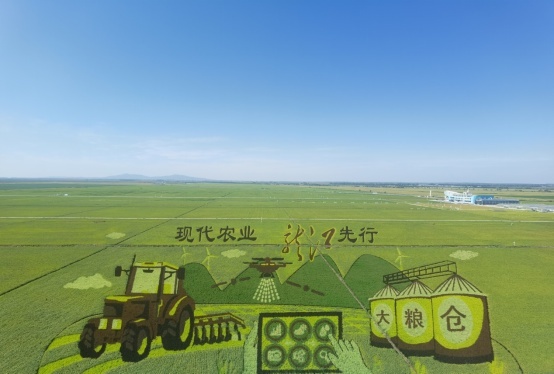 高质量发展调研行丨“够14亿人吃7天”，一起看看这个大粮仓