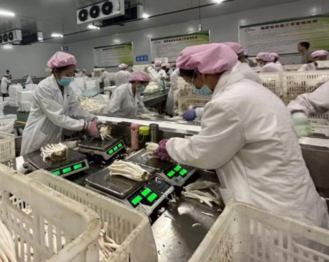 “高质量发展调研行”陕西主题采访活动启动