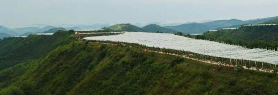 南沟村里看振兴：绿了黄土，富了乡亲 ｜ 高质量发展调研行·陕西站