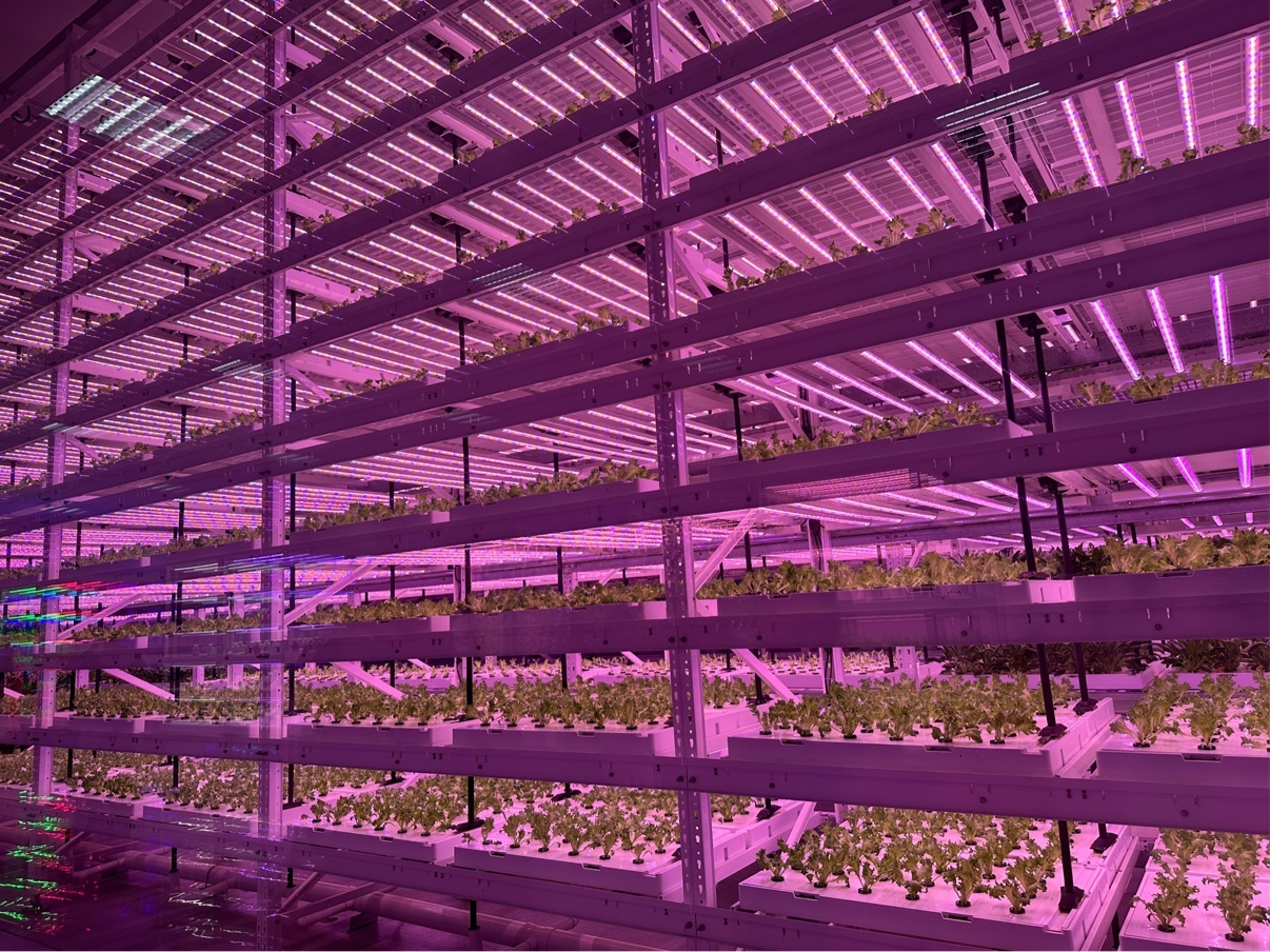 农业装上“智慧脑”，杨凌亮出“科技范” | 高质量发展调研行·陕西站