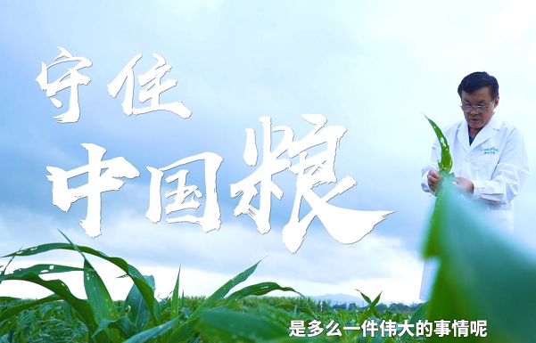 守住中国粮