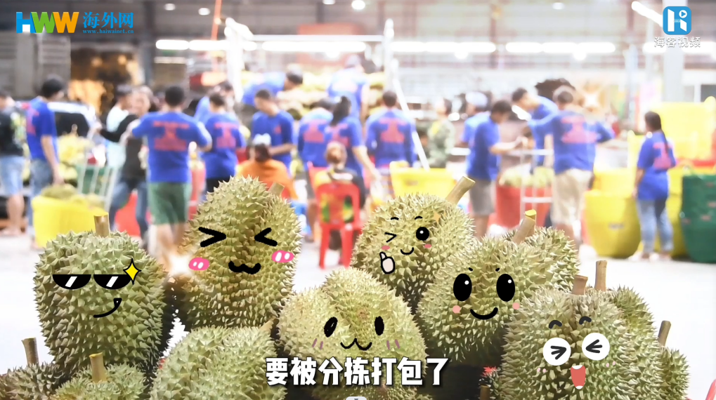 进厂