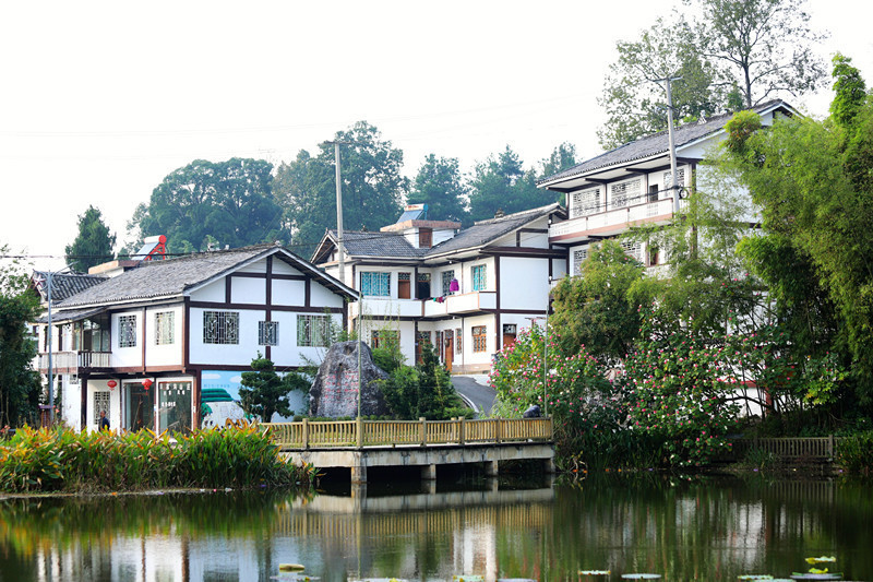 高质量发展调研行 | 昔日穷山沟 今朝“幸福窝”