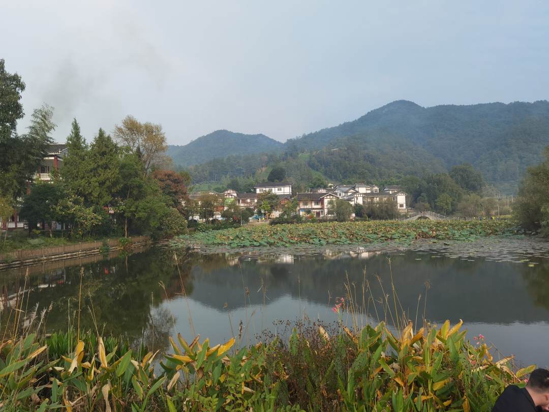 高质量发展调研行｜宜居宜业新风尚 这个山村大变样