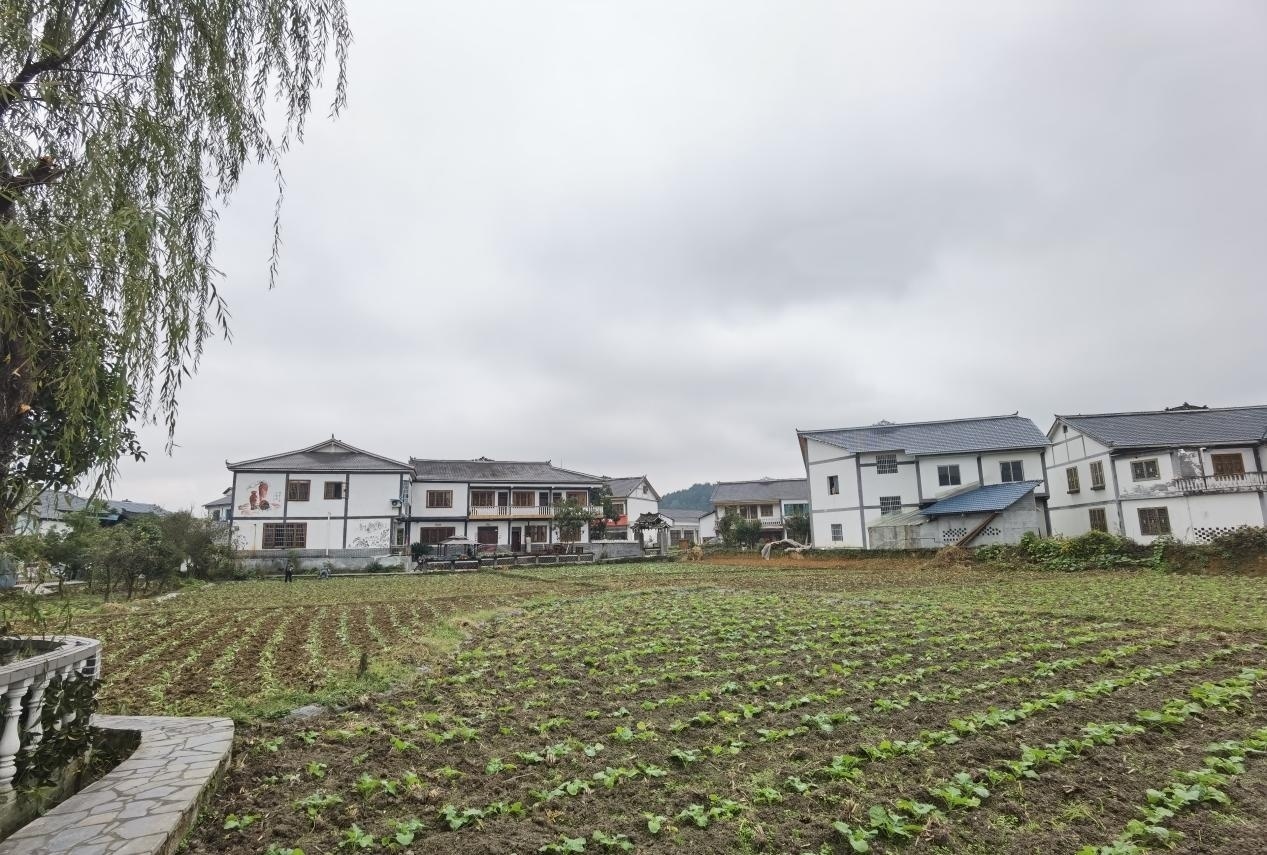 高质量发展调研行 | 花茂村里的手艺人