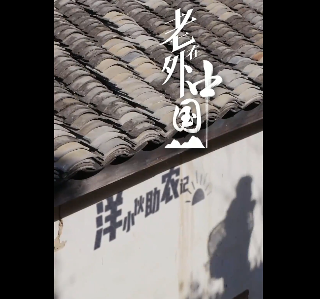 优秀奖获奖作品【俄罗斯博士在中国助农记】