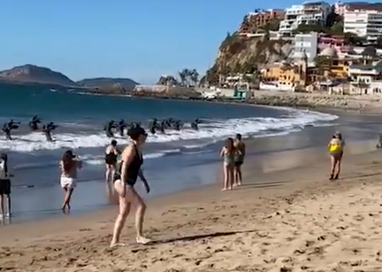 墨西哥特种部队突然现身海滩 （视频截图）