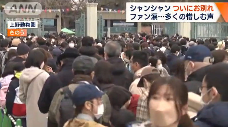 大批游客在上野动物园门口等待参观“香香”（朝日电视台）