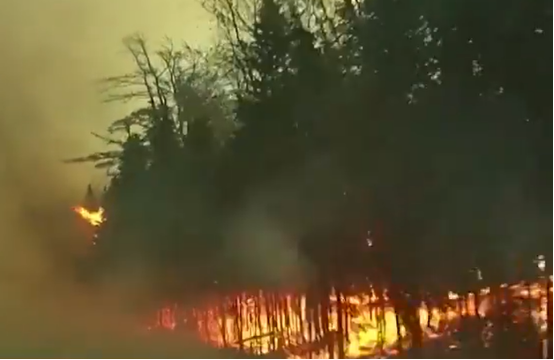 加拿大森林火光冲天（美国广播公司视频截图）