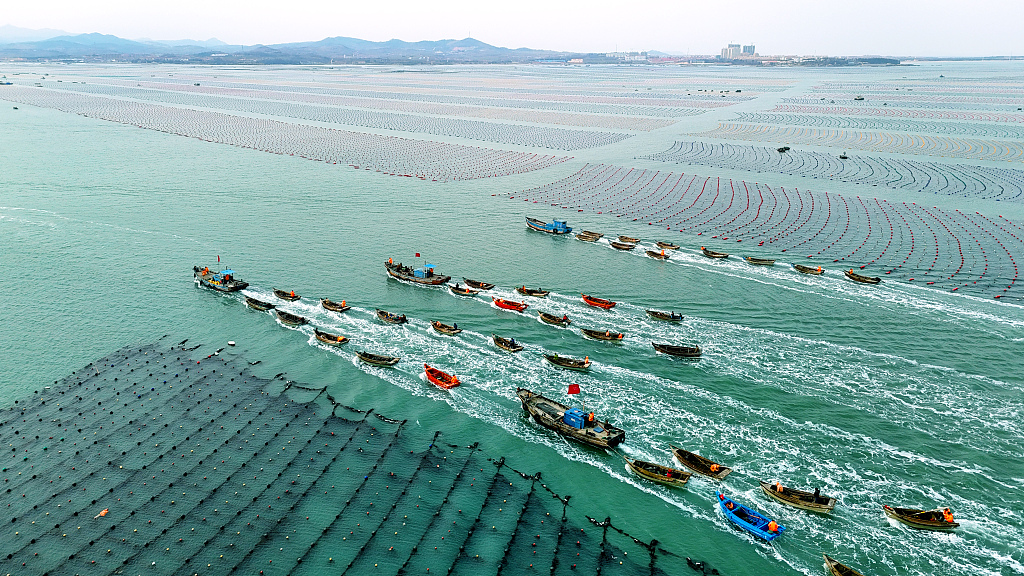 盘锦海洋牧场图片