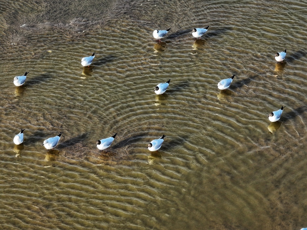 呼和浩特市北海流水库图片