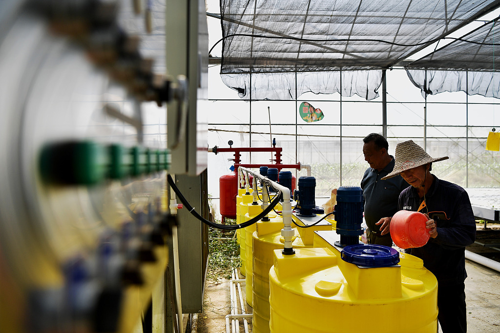 福州：智能温控大棚助力水培蔬菜生产
