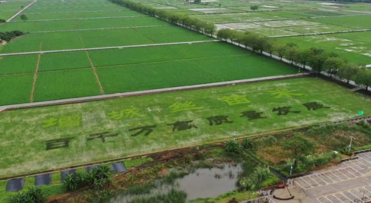 高质量发展调研行｜“土特产”里的科技感