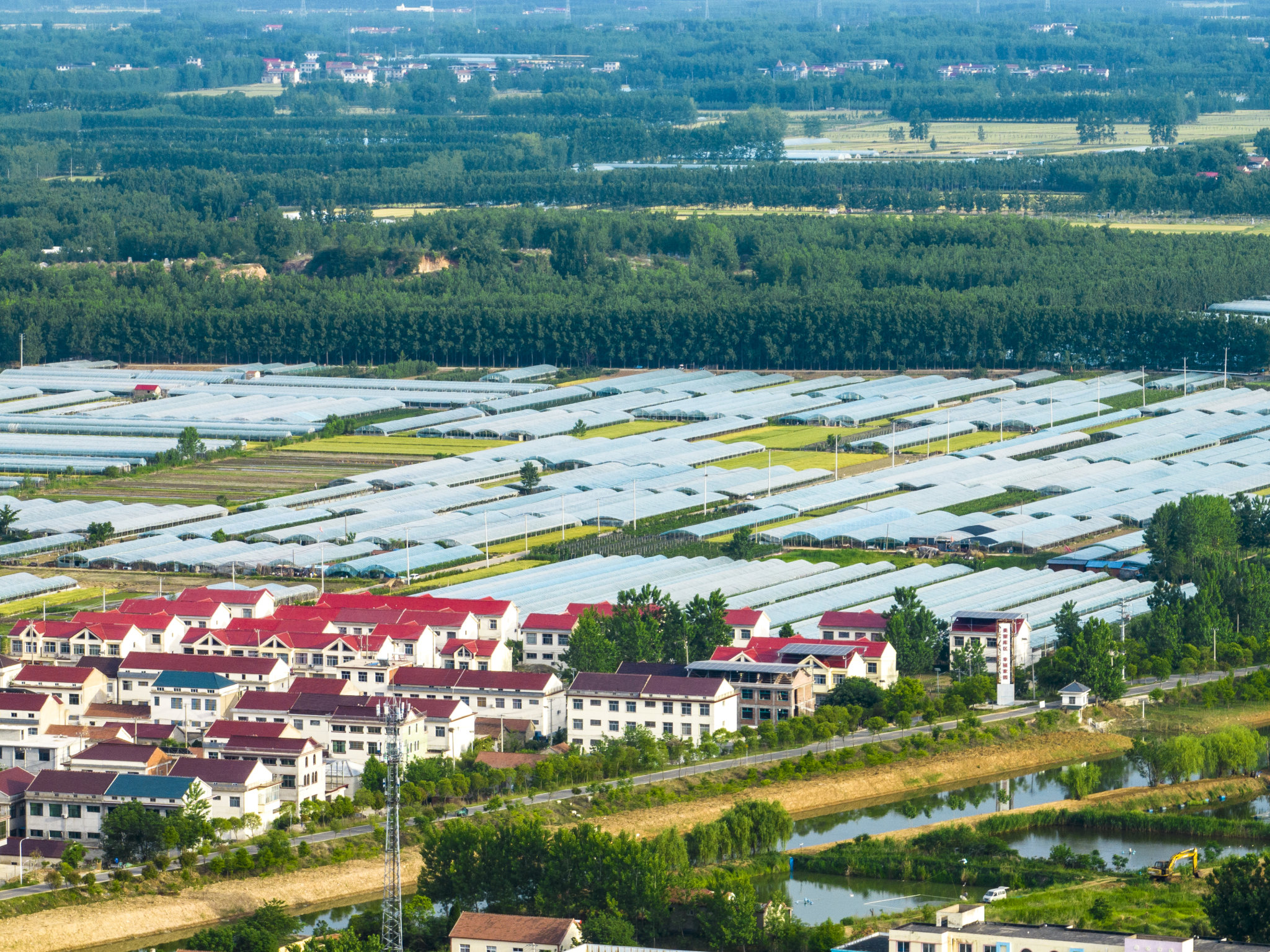 江苏连云港：乡村田园广阔 屋舍俨然