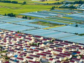 江苏连云港：乡村田园广阔 屋舍俨然