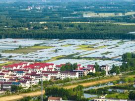 江苏连云港：乡村田园广阔 屋舍俨然